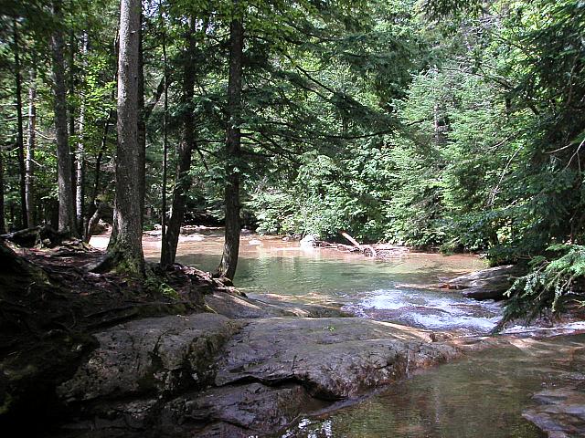 The Basin