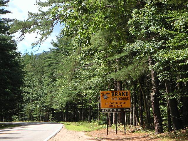 Brake for moose sign
