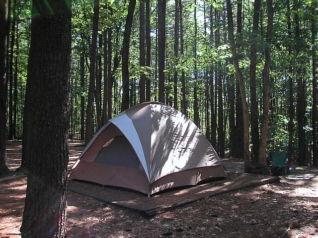Campsite at Pearl Hill