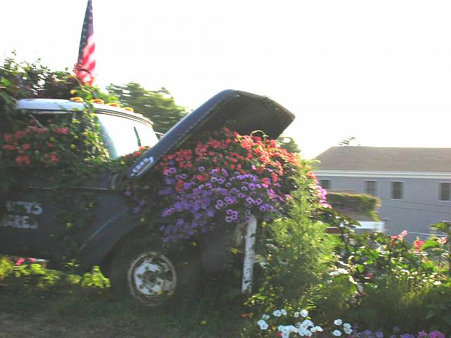 DSCN0196