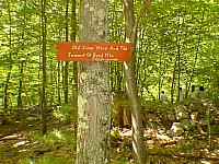 Bond Mountain