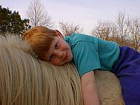 Ponies