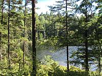 Pond near Rocky Gorge