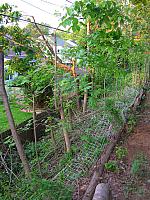 DSCN0027