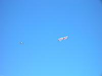 DSCN0159