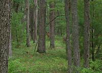 DSCN0742
