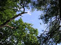 DSCN0862