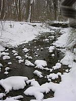 Along Darby Creek