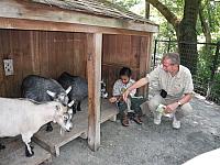 Brandywine Zoo