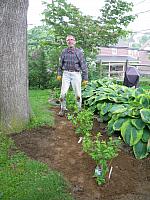 Working on the edible garden