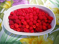 Homegrown raspberries