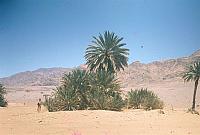 Paul's Trip to the Middle East