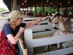 Broome County Fair