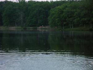 Lake Fairfax