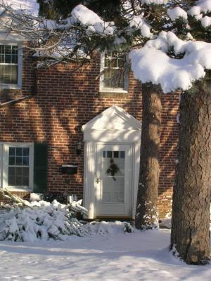 Snow, February 2009