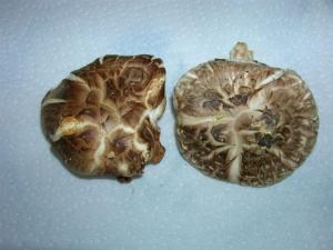 shiitakes