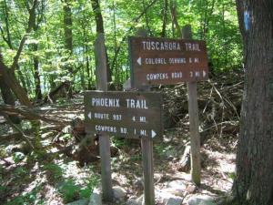 On the Tuscarora, August 2008