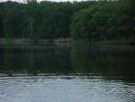 Lake Fairfax